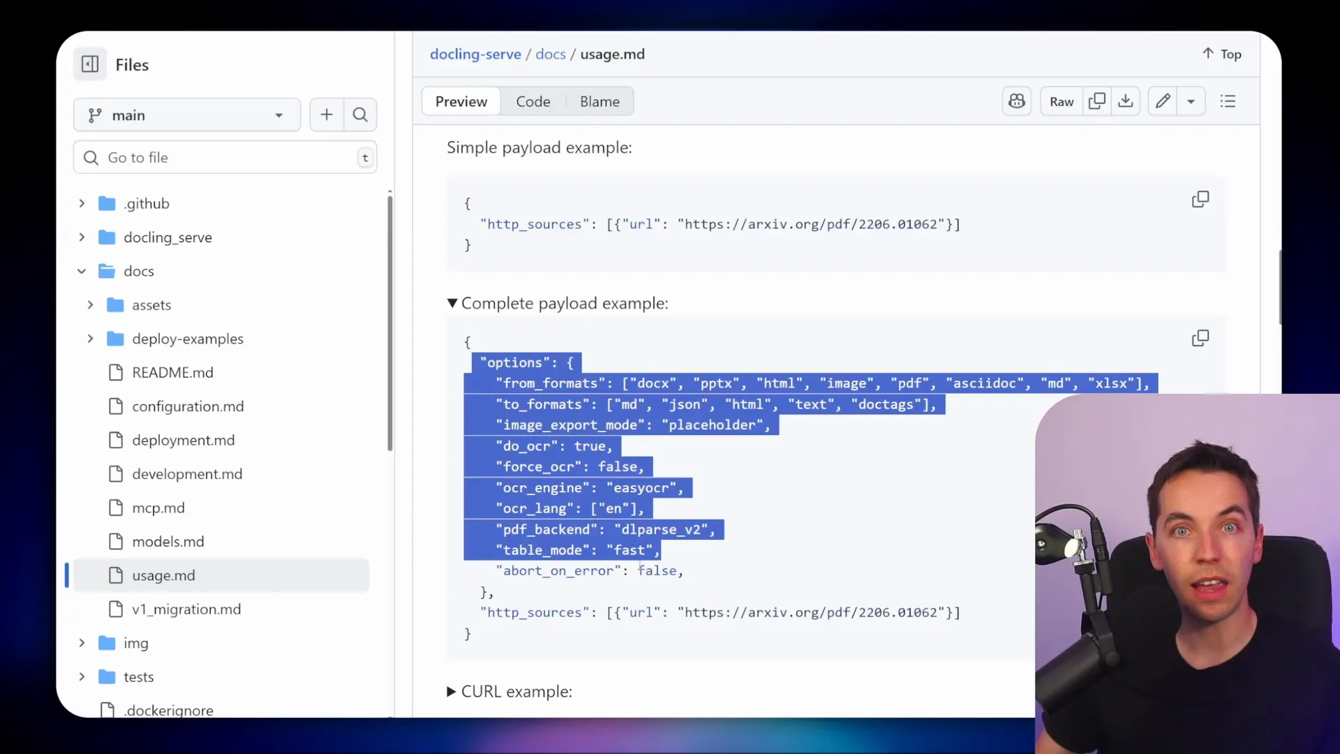 Docling API documentation with examples and options for JSON body